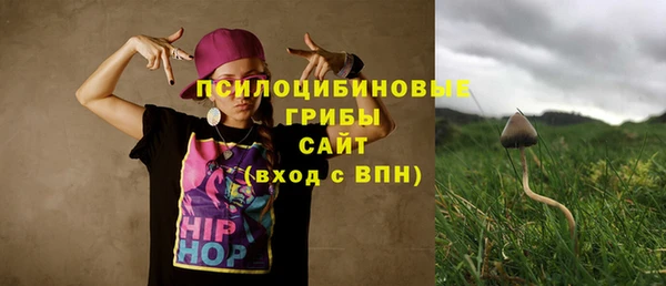 spice Балахна