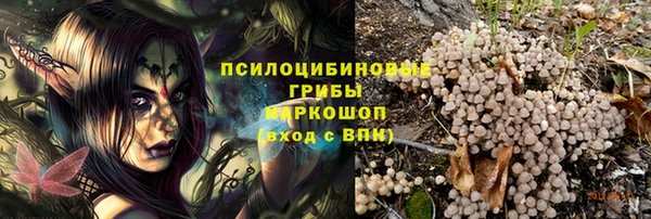 spice Балахна