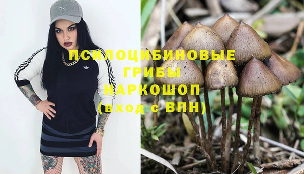 spice Балахна