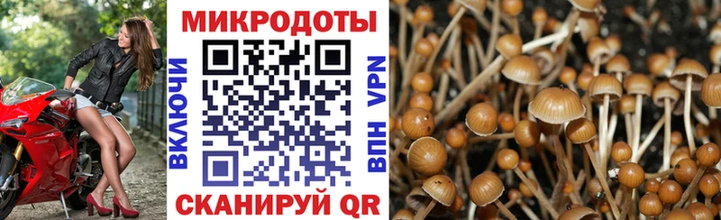 Галлюциногенные грибы мухоморы Купить Арамиль