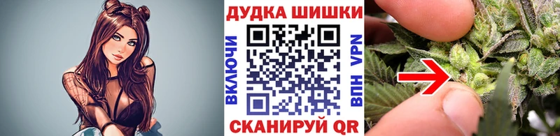 Конопля сатива  Купить  Арамиль 
